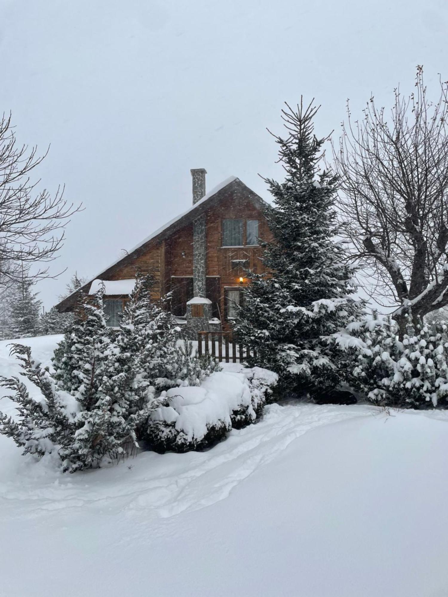 Chalet Ro Peștera Bagian luar foto