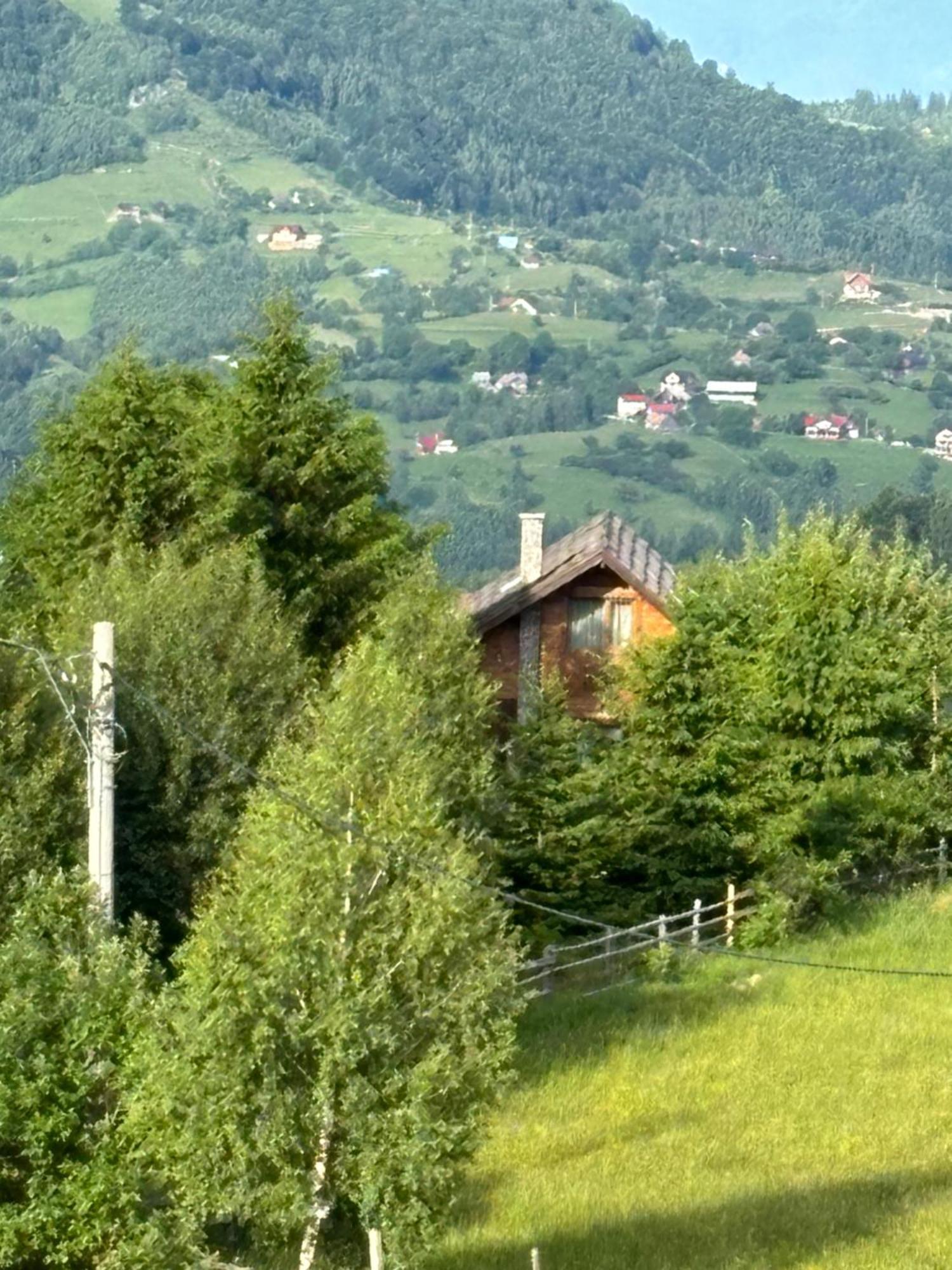 Chalet Ro Peștera Bagian luar foto