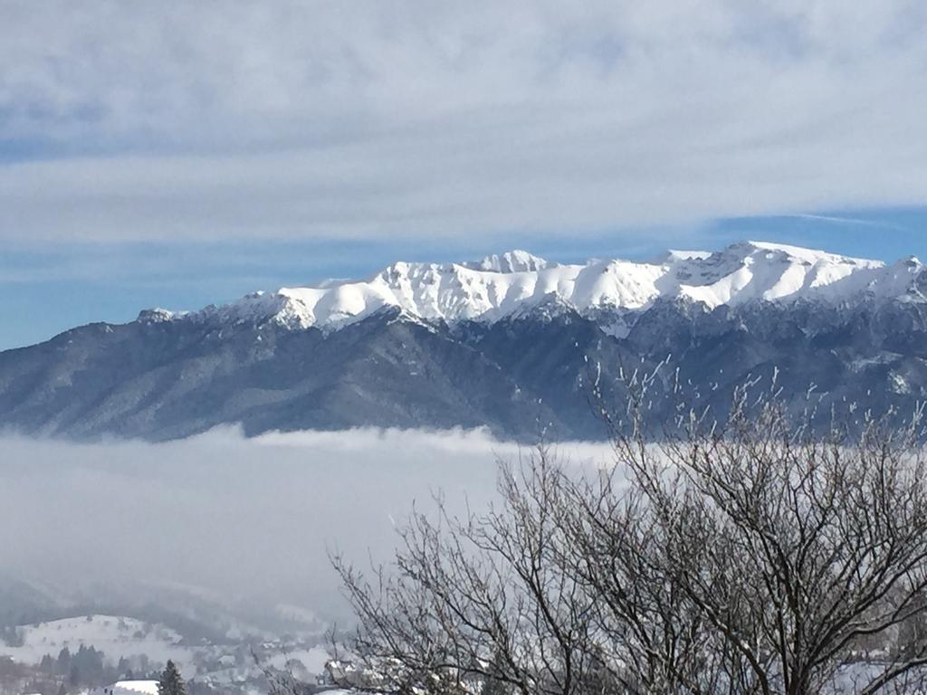 Chalet Ro Peștera Bagian luar foto
