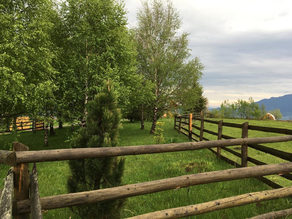 Chalet Ro Peștera Bagian luar foto