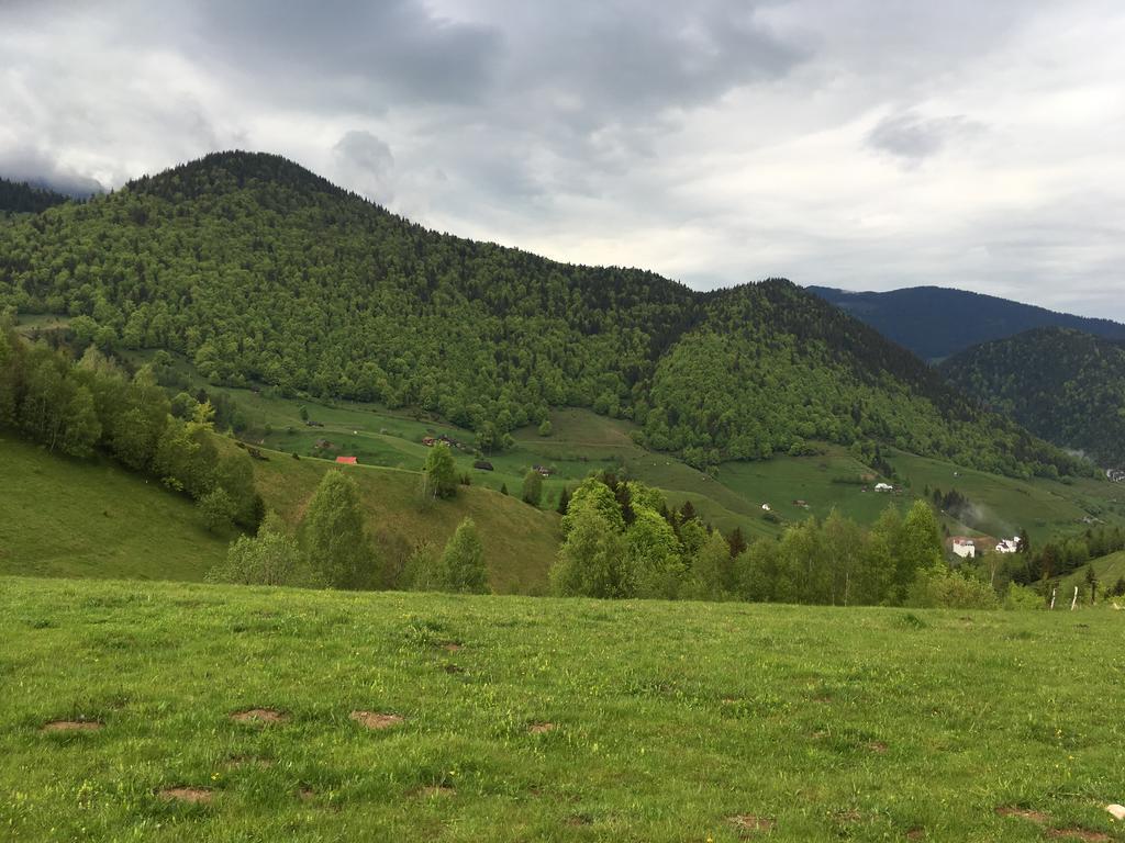 Chalet Ro Peștera Bagian luar foto