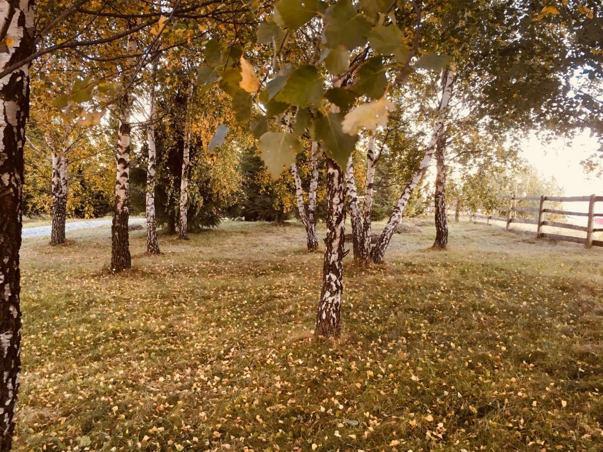 Chalet Ro Peștera Bagian luar foto